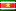 Terni (Suriname) suriname.png